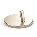 Satechi Aluminum Desktop Smartphone Charging Stand - Compatible with iPhone Xs Max/XS/XR/X, 8 Plus/8, 7 Plus/7, 6S Plus/6S (Gold)
