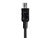 Monoprice USB Type C to USB-A 2.0 Cable - 1.5 Feet - Black, 480Mbps, 2.4A, Braided - Palette Series