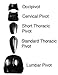 Fabrication Enterprises Soft Tissue System - Short Thoracic Pivot