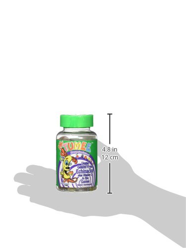 MR. TUMEE ECHINACEA + VITAMIN C & ZINC GUMEE, STRAWBERRY/LEMON/ORANGE/GRAPE/CHERRY/GRAPEFRUIT, 60 COUNT