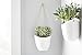 Modern Ceramic Hanging Planters, Succulent Plant Pots, Set of 3