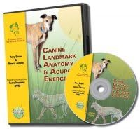 Canine Acupoint Energetics & Landmark Anatomy