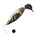 Avery Sporting Dog EZ-Bird Training Dummy – Realistic Floating Retriever Bumper for Water & Field Training (Green-Winged Teal)