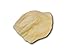 Top Dog Chews - Cow Ears Dog Treats, 12 Pack, America's Made, All Natural, Rich in Protein and Flavor, Healthy & Delicious Chew Treats.