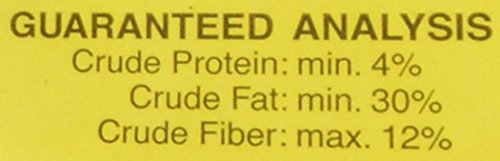 C & S Products High Energy Suet, 12-Piece