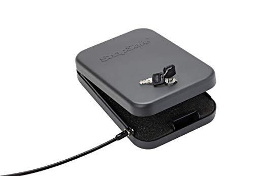 5 SnapSafe+Portable+Handgun+Approved+Measures