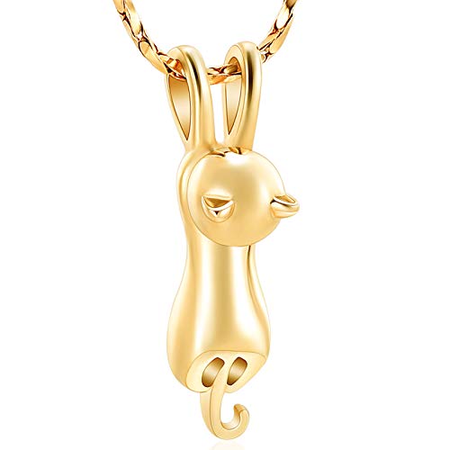 Imrsanl, joyería de cremación de mascotas para cenizas, joyería de ceniza conmemorativa, colgante de urna de gato de recuerdo para collar de cenizas de animales