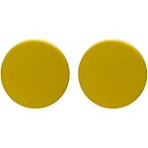 Large Colorful Disc Round Acrylic Button Stud Earrings for Women Geometric Minimalist Jewelry