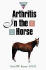 Concise Guide to Arthritis in the Horse