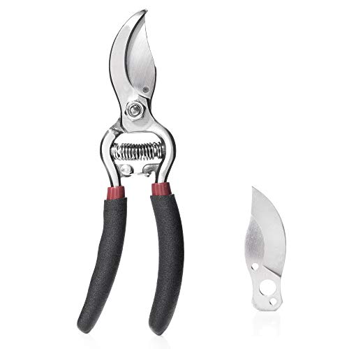 S. Kunde & Sohn Germany â die leichteste geschmiedete Gartenschere SKS6 Tradition + 1 Ersatzklinge GRATIS â ergonomisches Design â Bypass â Rosen-Rebschere â â
20mm â kompl. beschichtet, rostfrei