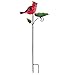 Regal Art & Gift 11.75 Inches X 4.25 Inches X 29.75 Inches Metal/Glass Bird Feeder Stake - Cardinal