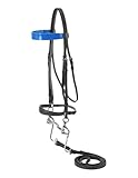 Silver Fox Full Walking Horse Bridle