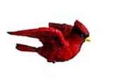 Clark Collection Cardinal Window Magnet,Red
