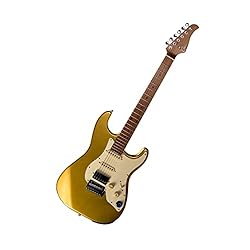 GTRS S801 Electric Guitar Maple Fretboard