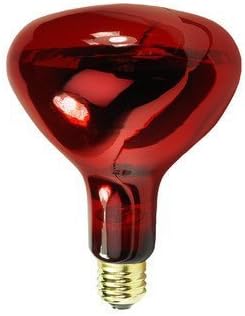TheraBulb Certified - Infrared Bulb NIR-A Near Infrared Individual Bulb by TheraBulb