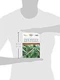 Front cover for the book The Complete Field Guide to Stick and Leaf Insects of Australia by Paul D. Brock