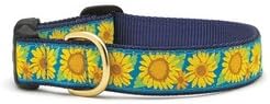 Up CountryBright Sunflower Dog Collar, Large (15 to 21 inches) 1 inch Wide Width