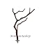 Manzanitashop 12" Multi-branch Perch
