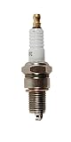 MTD Genuine Parts Spark Plug for Powermore Engines 5X65