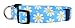 Native Pup Flower Dog Collar/Paisley Dog Collar (Small, Blue Daisy)thumb 1