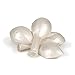 Eshanmu White Pearlized Latex Balloons, 12-inch, 100-pack, Biodegradable, Pearlized Finish