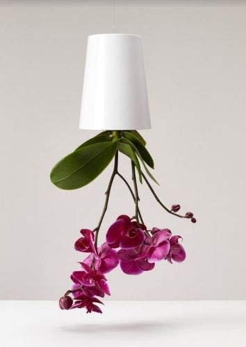 Boskke Sky Planter Recycled - Medium 12cm - White