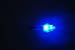 Jiexi Hwyp Automatically Lighted Led Nocks for Inner Diameter 6.3 mm Compound Bow Arrows GT Size Pack of 6 (blue)