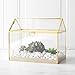 Cathy's Concepts Terrarium Gift Card Holder - Gold, Glass & Brass Construction, Perfect for Wedding Receptions, Graduations & More