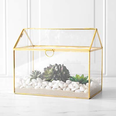 Cathy's Concepts Terrarium Gift Card Holder – Gold, Glass & Brass Construction, Perfect for Wedding Receptions, Graduations & More