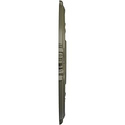 Ekena Millwork CM18ATPTFDecorative Ceiling