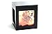 Heavenly Home Pet Keepsake Multiple Photo Cube Pet Urn for 1 to 4 Pictures Cremation Memorial for Pet Lovers Acrylic Glass Photo Protector Resting Place for Cat or Dog (90 Cubic Inches)