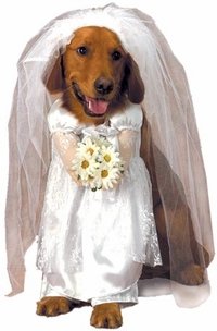 Pet Bride Dog Halloween Costume For Medium Dogs by Pet Friendzy