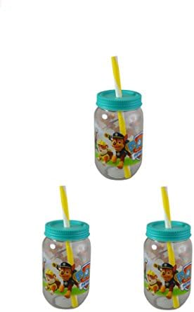 Nickelodeon Paw Patrol Canning Jar Tumbler with Screw on Lid and Straw, 19oz