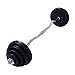 Giantex 52 LB Barbell Dumbbell Weight Set Gym Lifting Exercise Solid & Hollow Curl Bar