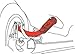 Specialty Products Company - CHRYSLER REAR CAMBER ARM (67455)