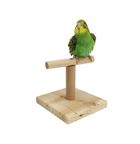 MINORPET Wood Perch Training Stand Bird Cage Accessories for Parrots Parakeets Lovebirds Cockatiels Exercise Play Toys (Square Base)