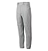 Mizuno Adult Men's Premier Piped Baseball Pant