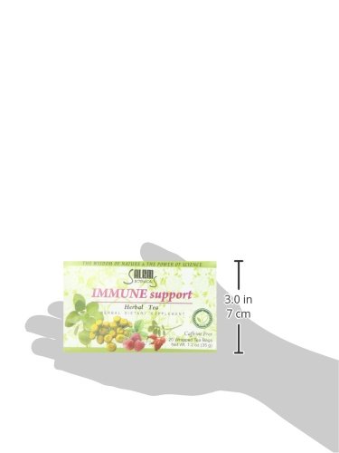 SALEM BOTANICALS HERBAL TEA, IMMUNE SUPPORT, 20 COUNT