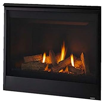 Amazon.com: Napoleon Plazmafire Vent Free Wall Mount ...