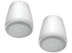 JBL Professional C65P/T-WH Compact Full-Range