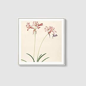Framed Canvas Home Artwork Decoration Beautiful Flower Canvas Wall Art for Living Room, Bedroom - 16x16 inches