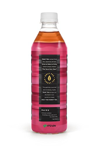 Teas' Tea Organic Cold Brew Raspberry Black Tea (Pack of 12) Organic Cane Sugar Sweetened No Artificial Sweeteners Antioxidant Rich Good Source of Vitamin C