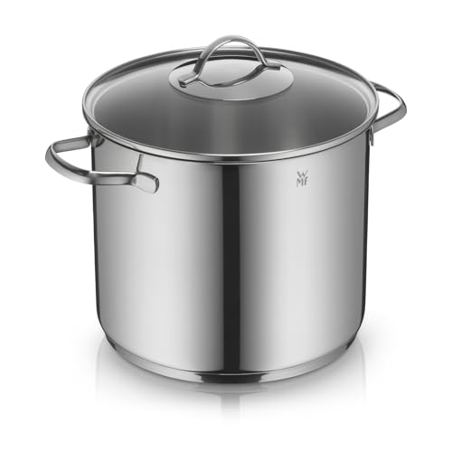 WMF Provence Plus Suppentopf 24 cm, 8,8 l – großer Kochtopf für Induktion aus Cromargan Edelstahl poliert mit Glasdeckel, unbeschichtet, backofengeeig