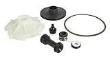 Red Lion 305584008 Overhaul Kit for RJS-100-PREM Pump