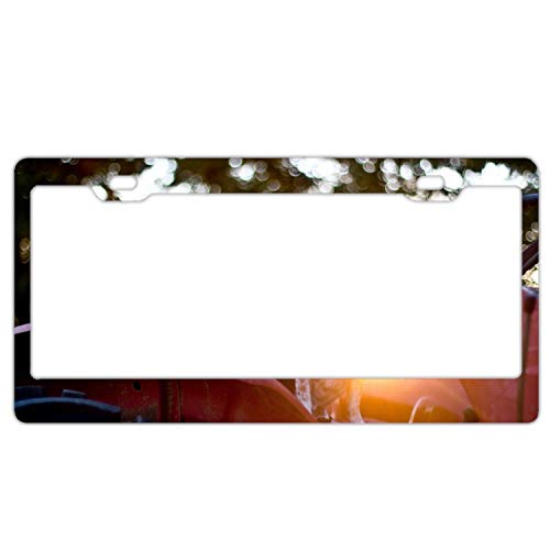 KSLIDS Dog Steering Wheel Car Waiting Sunlight Glare Car License Plates Frames,Novelty Plate Covers to Fit Any Standard US Plates,Unbreakable Frame,Screws Included