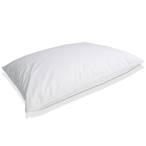 Protect-A-Bed 21 by 37-Inch AllerZip Smooth Waterproof Pillow Protector, King, 2-Pack