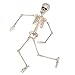 PREXTEX 20 Inch Posable Halloween Skeleton- Full Body Halloween Skeleton with Movable/Posable Joints for Best Halloween Decoration