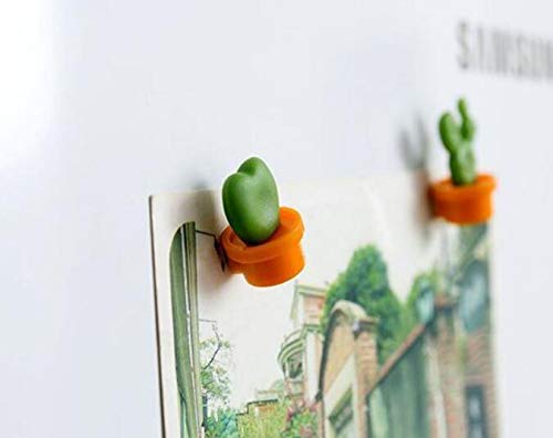 JMAF refrigerator magnet kitchen magnet office magnet whiteboard and dry cleaning board, lovely and colorful potted design (12 sets) (cactus)