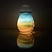 Heung HOI Electric Oil Warmer Art Glass Full-Size Scented Wax Warmer Tart Burner for Wax Melts Fragrance Warmer Night Light Aroma Decorative Lamp for Gifts & Decor for Home Office Bedroom Living
