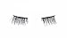 JJMG NEW Magnetic False Accent Eyelashes Ultra Light weight 3D Reusable Feather weight False Accent Eyelashes Natural Look Beauty Enhancer (2 Pairs 8 pieces Style 03 & 04)